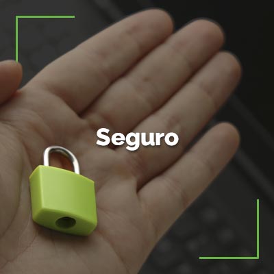 Seguro