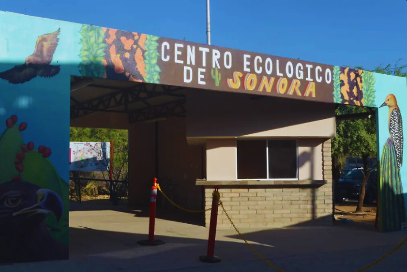 centro ecologico hermosillo